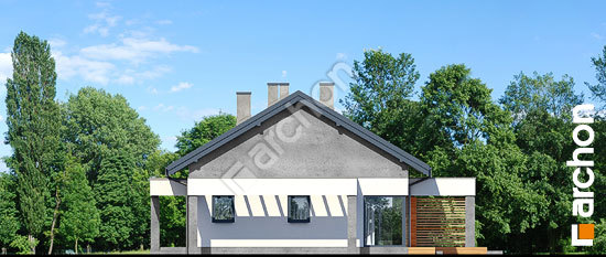 Бочний фасад Будинок в мекінтошах 10