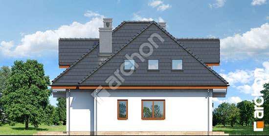 Бочний фасад Будинок в вовчих ягодах 2