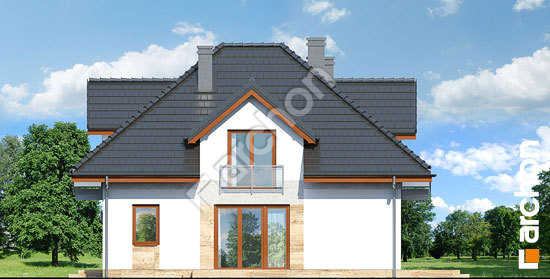 Боковой фасад Дом в волчьих ягодах 2