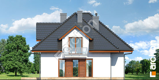 Дворовой фасад Дом в волчьих ягодах 2