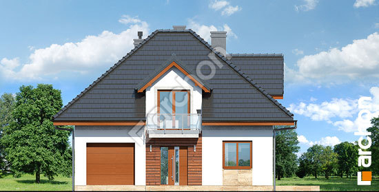 Передний фасад Дом в волчьих ягодах 2