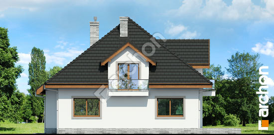 Дворовой фасад Дом в дурмане вер. 2