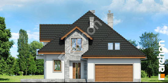 Передний фасад Дом в дурмане вер. 2