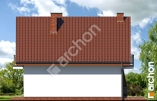 Бочний фасад Будинок в сон-траві