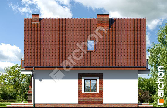 Бочний фасад Будинок в сон-траві