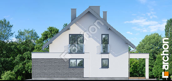 Бочний фасад Будинок в нефрісах (Г2)