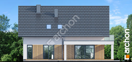 Дворовий фасад Будинок в нефрісах (Г2)