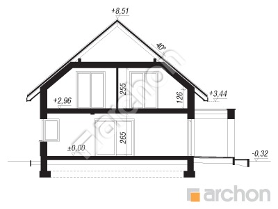 Проект дома ARCHON+ Дом в нефрисах (Г2) Розріз будинку
