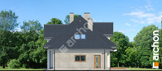 Бочний фасад Будинок в сливах 5 (Г)