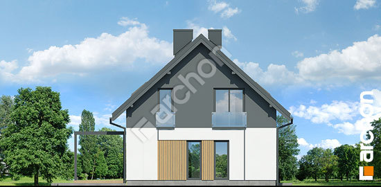 Бочний фасад Будинок у косариках 4