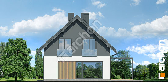 Боковой фасад Дом в косариках 4