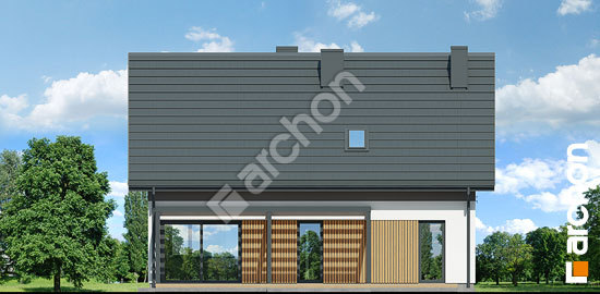 Дворовой фасад Дом в косариках 4