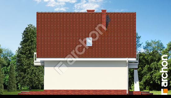 Бочний фасад Будинок у винограді вер. 2