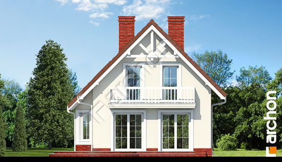 Дворовий фасад Будинок у винограді вер. 2