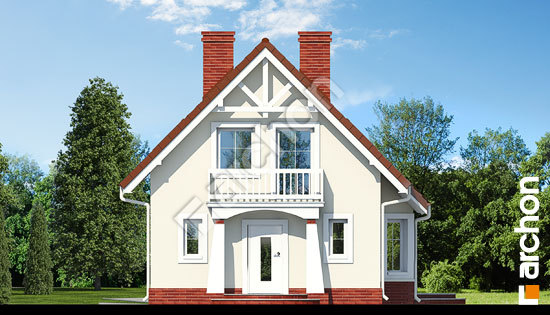 Передній фасад Будинок у винограді вер. 2