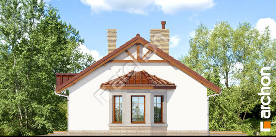 Бочний фасад Будинок в ягодах 2