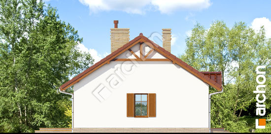 Бочний фасад Будинок в ягодах 2