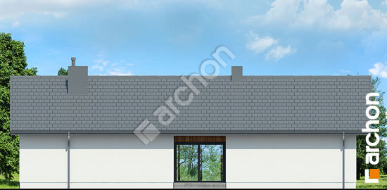 Бочний фасад Будинок в бродіах 3