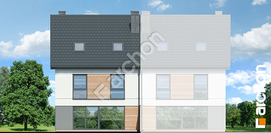 Дворовой фасад Дом под гинко 25 (ГБ)