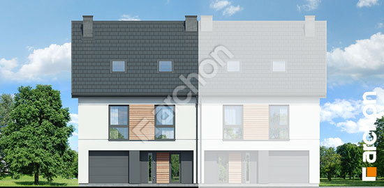 Передній фасад Будинок під гінко 25 (ГБ)