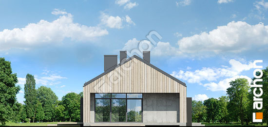 Бочний фасад Будинок в мекінтошах 8