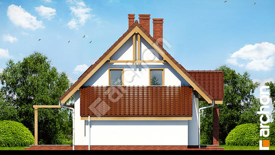 Бочний фасад Будинок в примулах 3