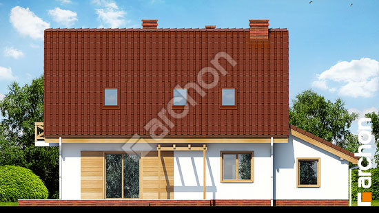 Дворовий фасад Будинок в примулах 3