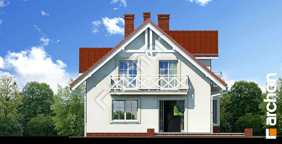 Дворовий фасад Будинок в рододендронах (Т)