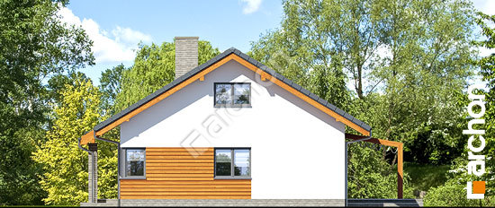 Бочний фасад Будинок в мекінтошах 6