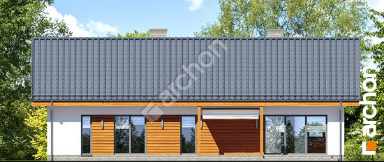 Дворовий фасад Будинок в мекінтошах 6