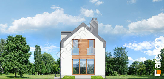 Дворовой фасад Дом в подбелах (П) вер.2