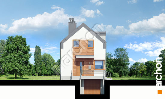 Передний фасад Дом в подбелах (П) вер.2