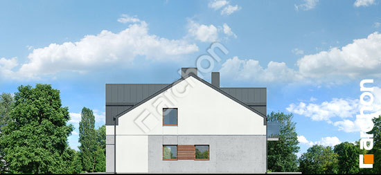 Бочний фасад Будинок під гінко 23 (ГР2Б)