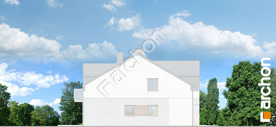 Бочний фасад Будинок під гінко 23 (ГР2Б)