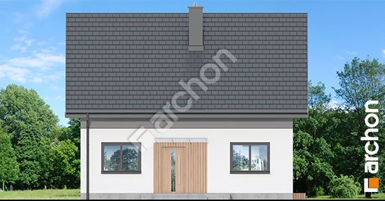 Передний фасад Дом в хлорофитуме 23 (Е) ВИЭ