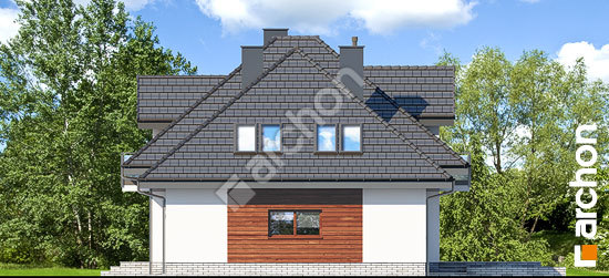 Бочний фасад Будинок в нектаринах 4 (Г2Н)