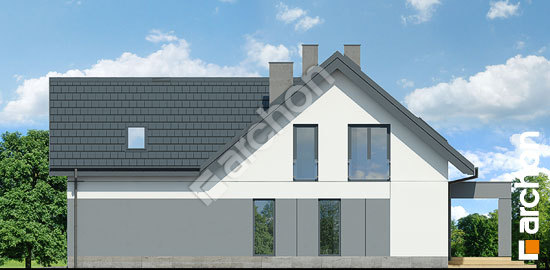 Боковой фасад Дом в яскерах (Г2)