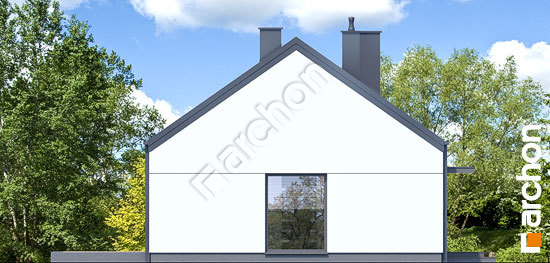 Боковой фасад Дом в коручках 10