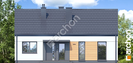 Передній фасад Будинок в коручках 10