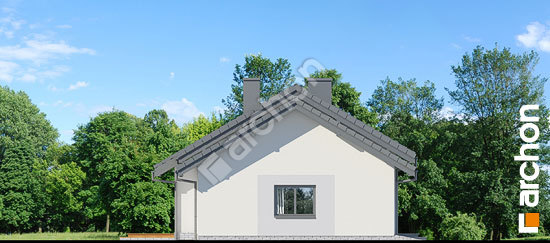 Боковой фасад Дом в овсянницах (Г)