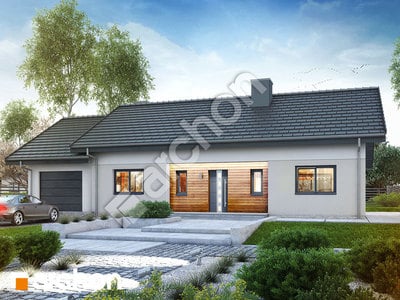 Проєкт будинку ARCHON+ Будинок у вівсянниці (Г) 