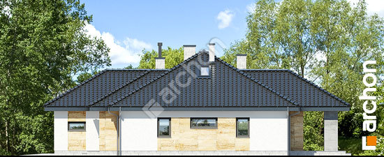 Бочний фасад Будинок в акебіях 5