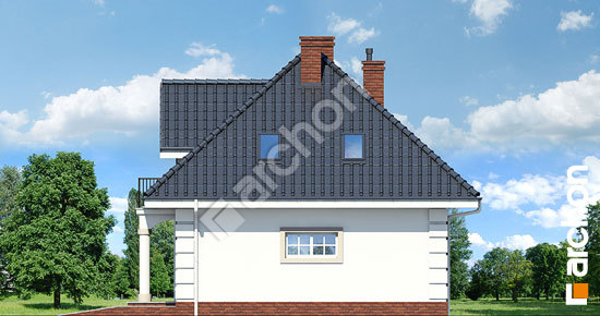 Боковой фасад Дом в бархатцах (Мп)