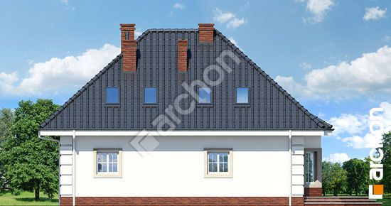 Дворовий фасад Будинок в чорнобривцях (Мп)