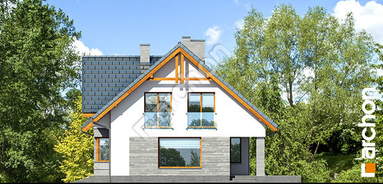 Бочний фасад Будинок в спатифілумі 2 (Г2)