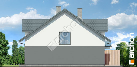 Бочний фасад Будинок під гінко 19 (ГР2)