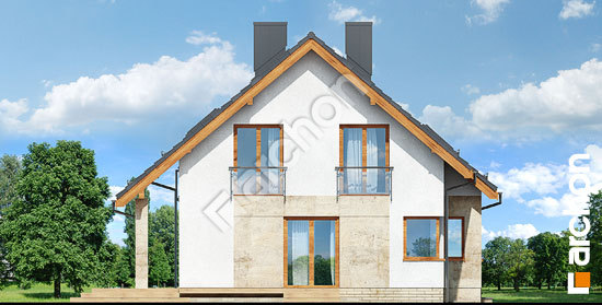 Боковой фасад Дом в ариземах 