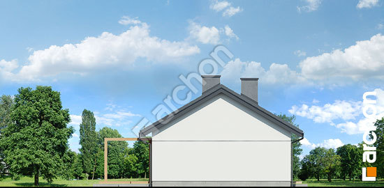 Боковой фасад Дом в черешне 2