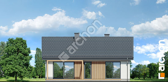 Дворовой фасад Дом в черешне 2