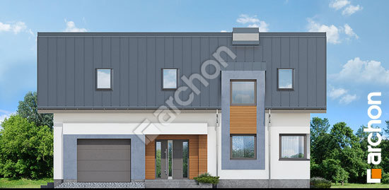 Передній фасад Будинок в ельстарах